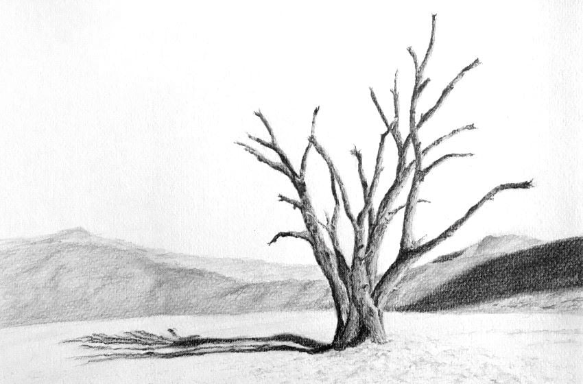 composición a lapiz